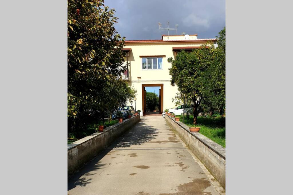 Appartamento In Villa Alle Falde Del Vesuvio Nápoly Kültér fotó